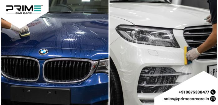 Car Protector Dilemma