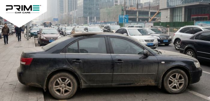 City Driving Enhances